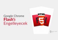 Google Chrome Flash’ı Engelleyecek